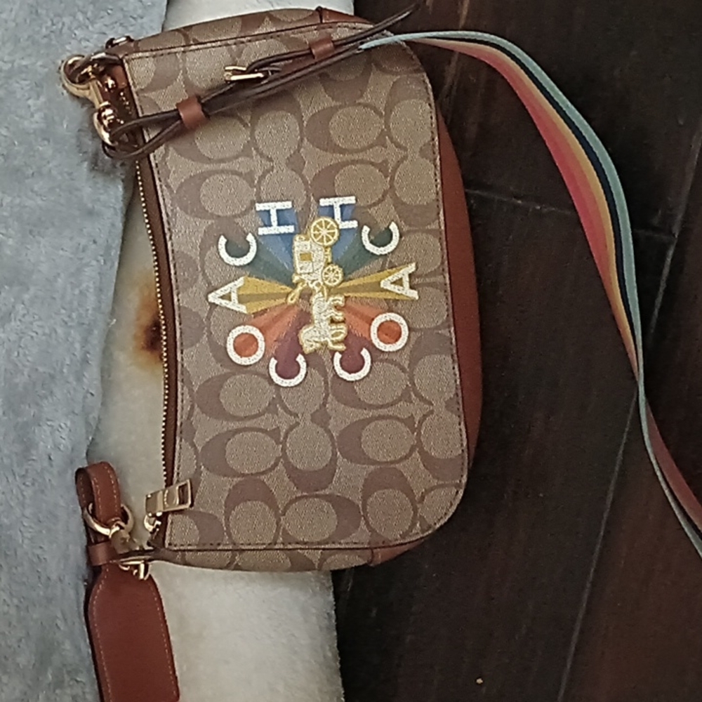 Coach rainbow horse pocketbook